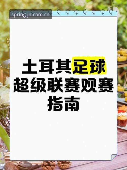 世界杯观赛受阻？约旦土耳其球迷签证困境与赛事体验实用指南